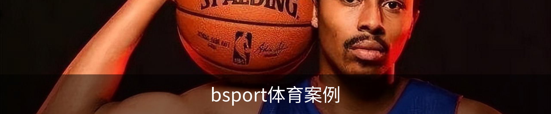 bsport体育案例